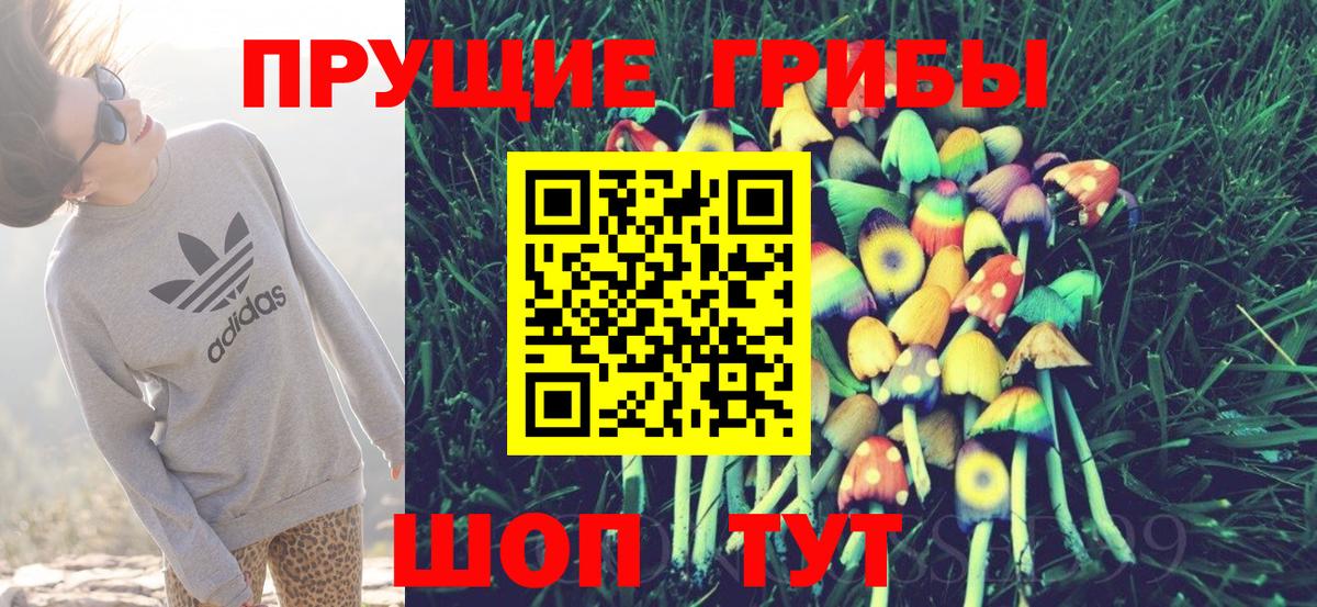 Галлюциногенные грибы Psilocybine cubensis Москва